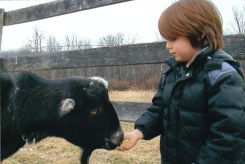 About Daisy Field Farm Pocono Horseback Riding, Trail Rides
