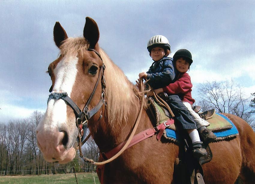 About Daisy Field Farm Pocono Horseback Riding, Trail Rides