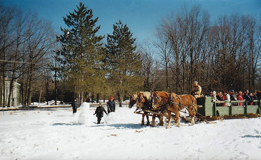 About Daisy Field Farm Pocono Horseback Riding, Trail Rides