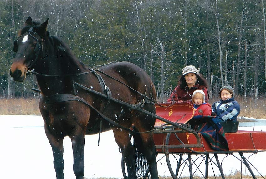 About Daisy Field Farm Pocono Horseback Riding, Trail Rides